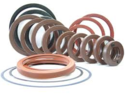 Oil Seals/O Rings